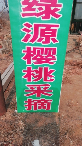绿源生态樱桃