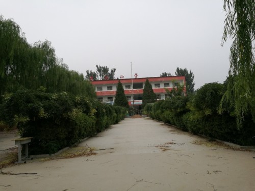 燕赵镇中心小学