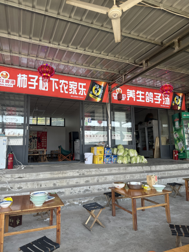 柿子树下农家乐