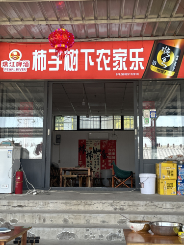 柿子树下农家乐