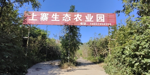上寨生态农业园