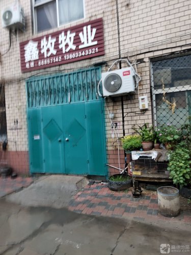 鑫牧牧业