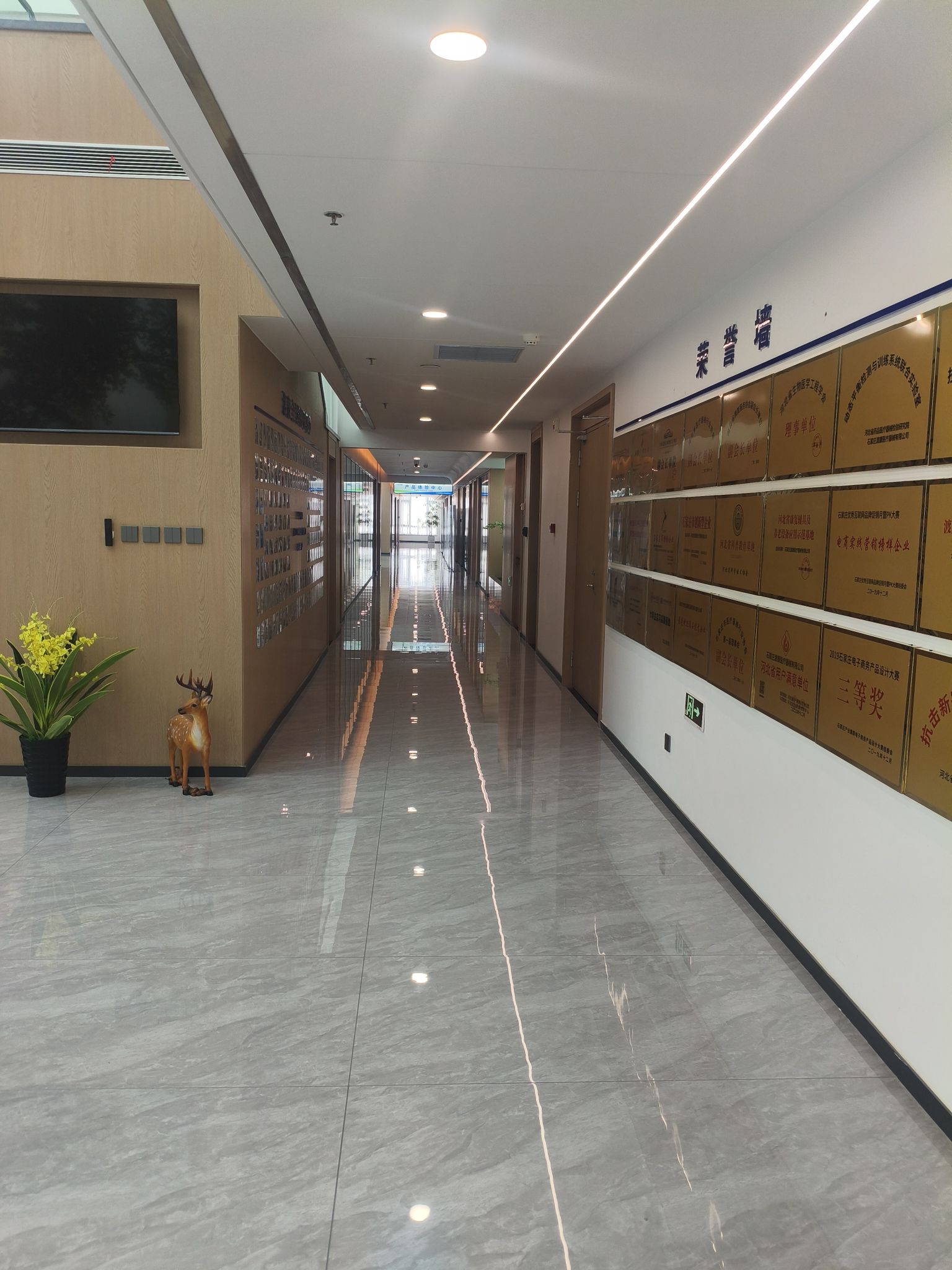 石家庄渡康医疗器械有限公司