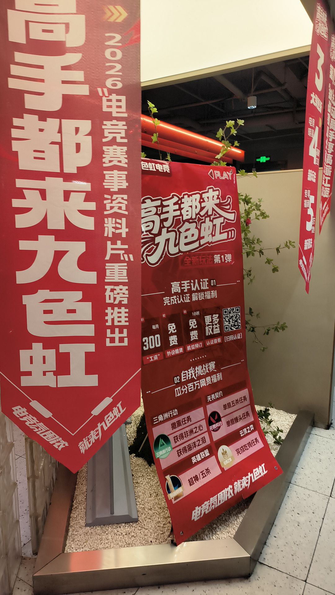 九色虹电竞(吉虎店)
