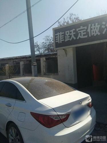 菲跃定做汽车脚垫