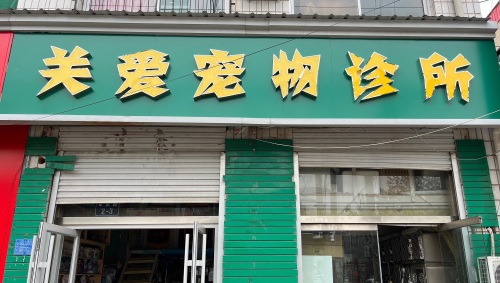 关爱宠物诊所