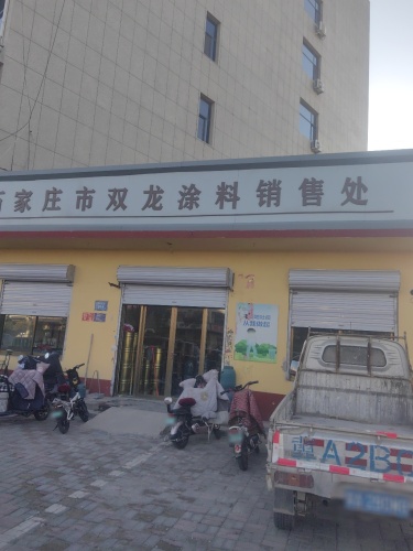 双龙涂料