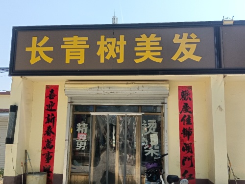 长青树理发