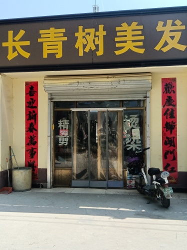 长青树理发