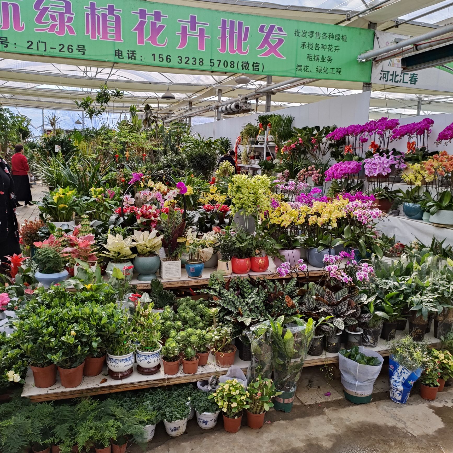 汇春博物园
