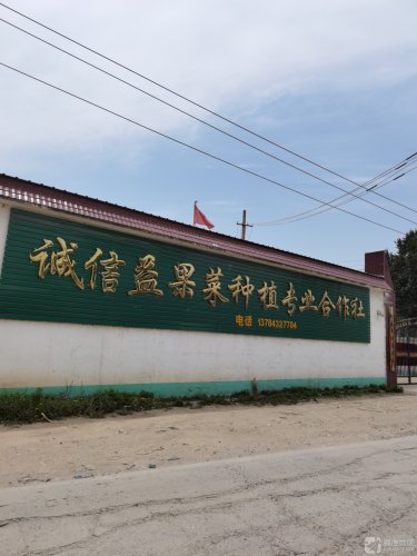 诚信益果菜种植专业合作社