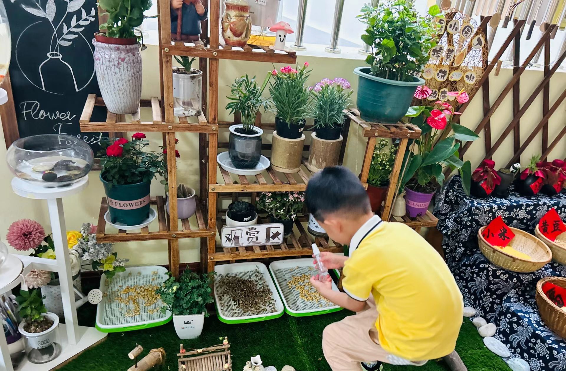 润初·龙泉凯旋幼儿园