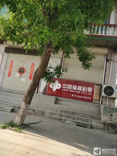中国体育彩票中国福利彩票
