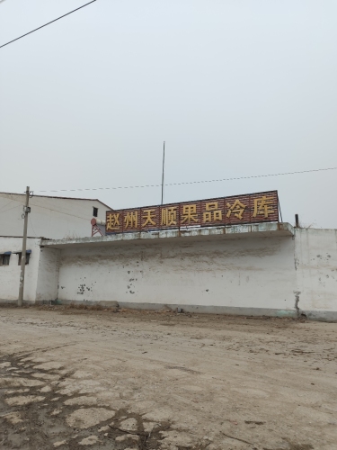 赵州天顺果品冷库
