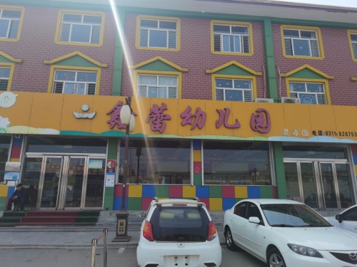 灵寿县鑫蕾幼儿园