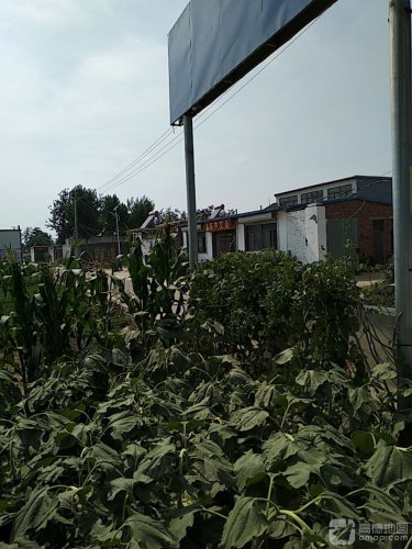 百岁葫芦艾灸