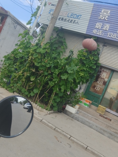 景盛批发站