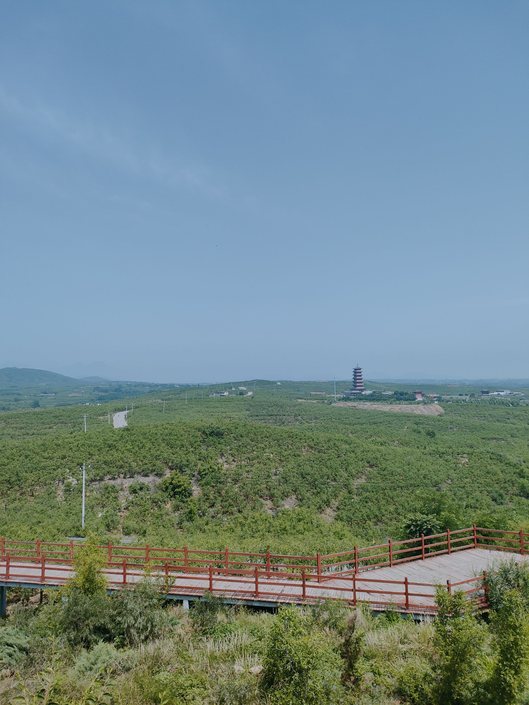 枣乡庄园