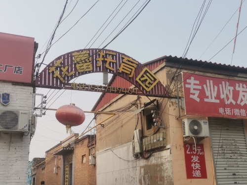 花蕾幼儿园