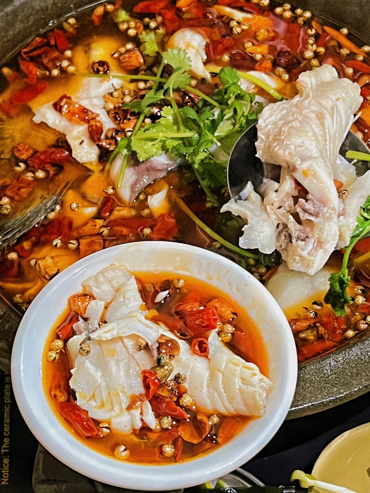 渔捞天下石锅鱼(大经街总店)