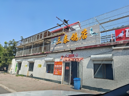 三泰鸽店
