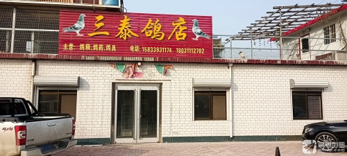 三泰鸽店