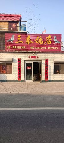 三泰鸽店