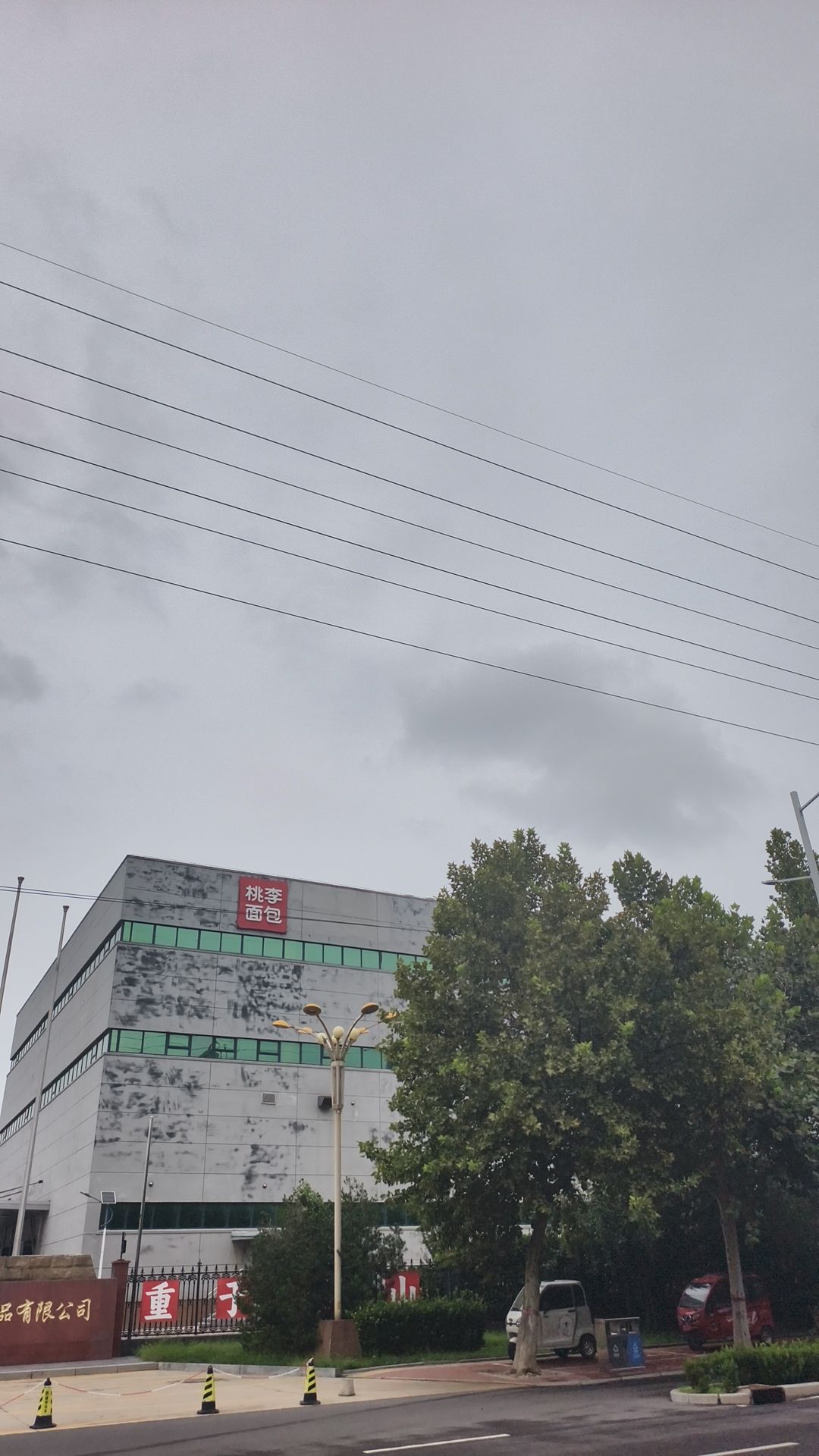 桃李面包