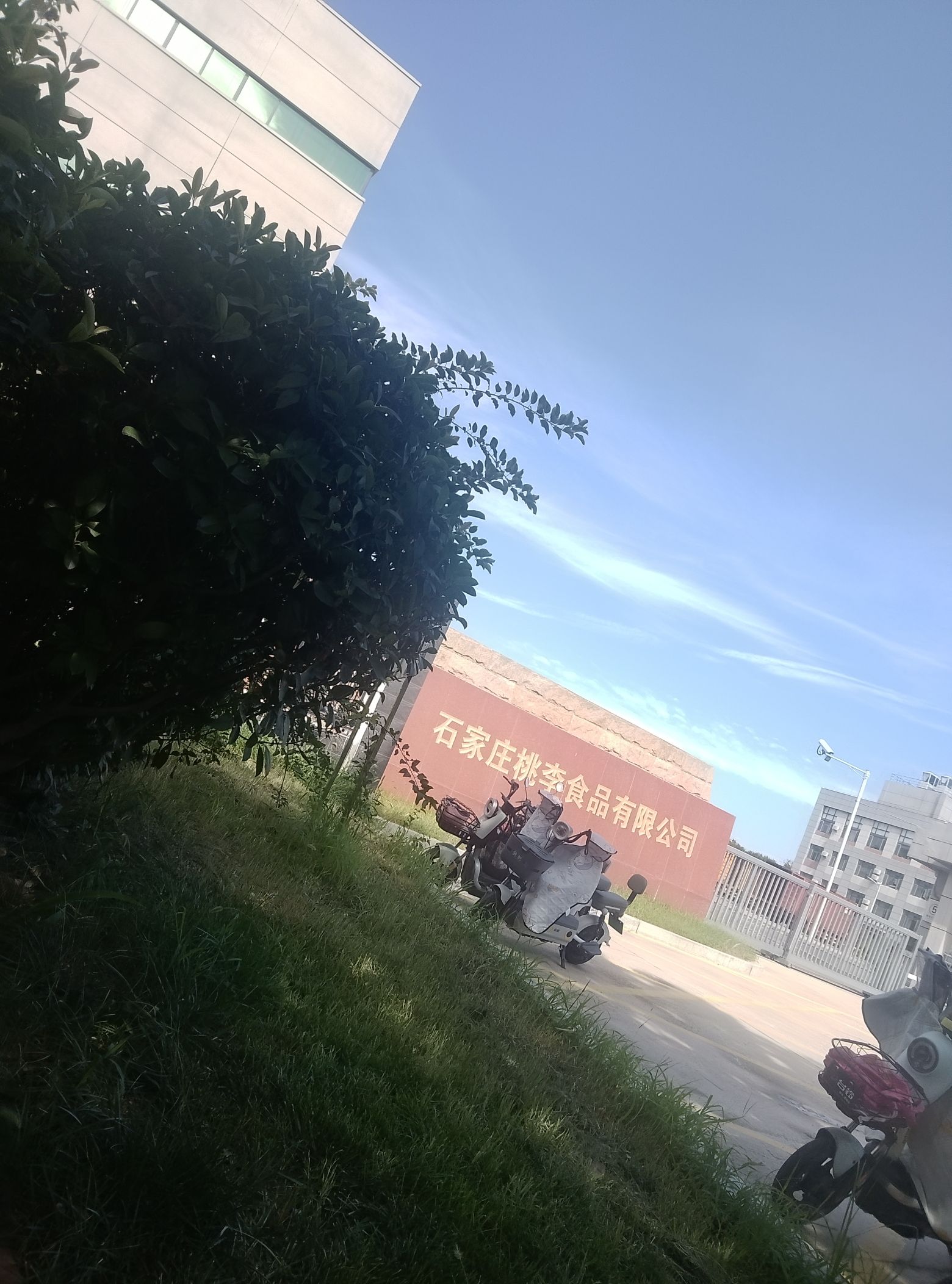 桃李面包