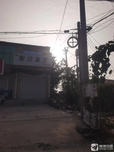 东北发艺