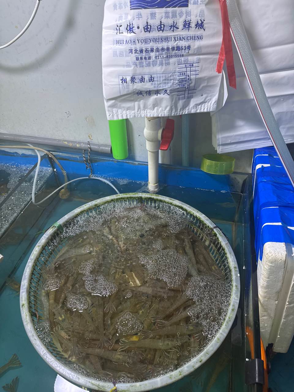 京石由由水鲜城