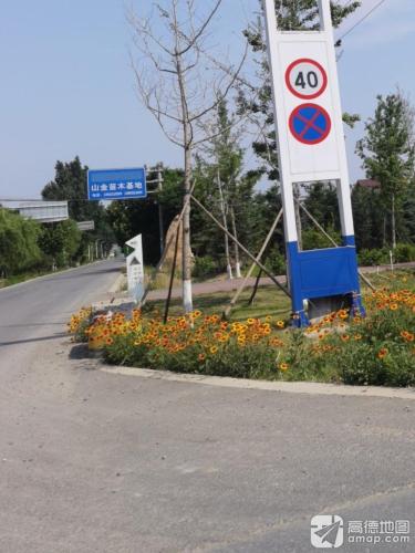 山金苗木基地