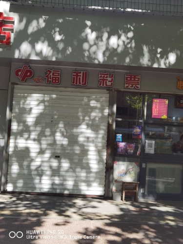 中国福利彩票(西部峰景东北兴华商场店)
