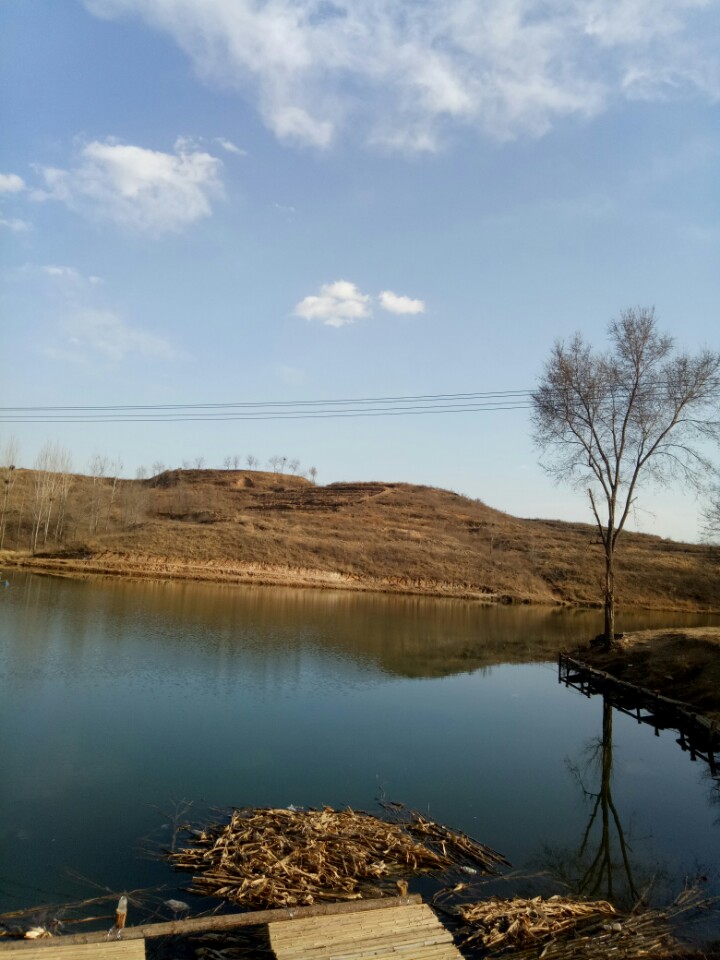 灵寿县月夕垂钓园