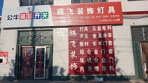腾飞装饰灯具