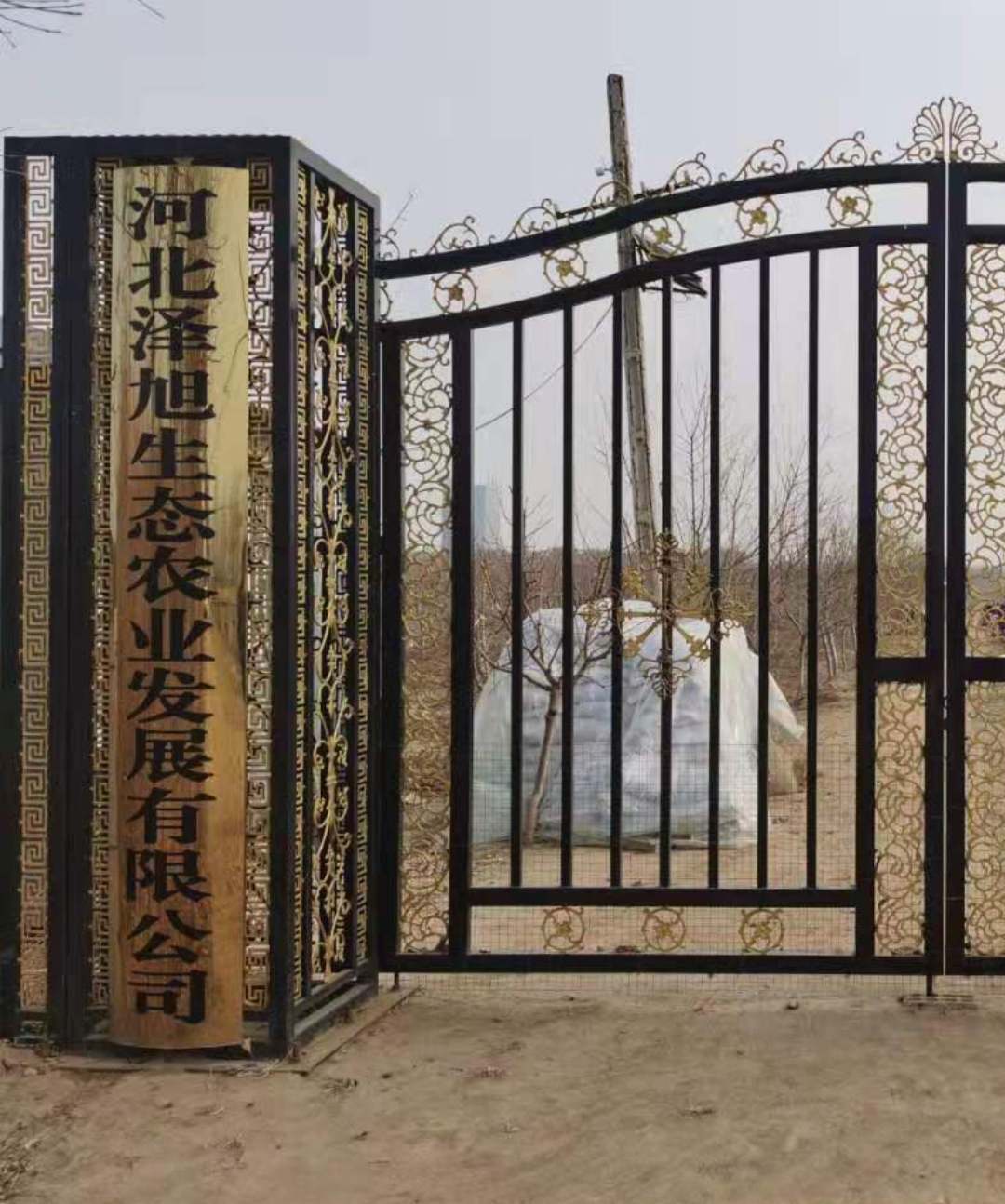 河北泽旭生态农业发展有限公司