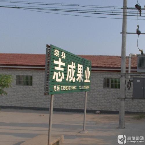 志成果业