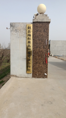 赵县海彤果品种植专业合作社
