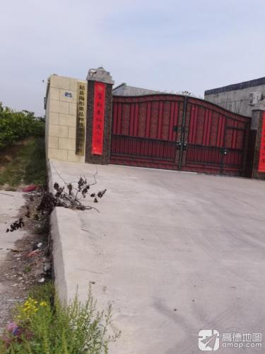 赵县海彤果品种植专业合作社
