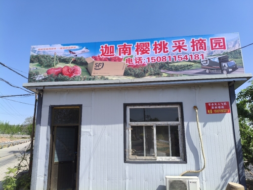土门迦南樱桃采摘园