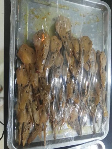 兴隆饺子酒(东环路店)