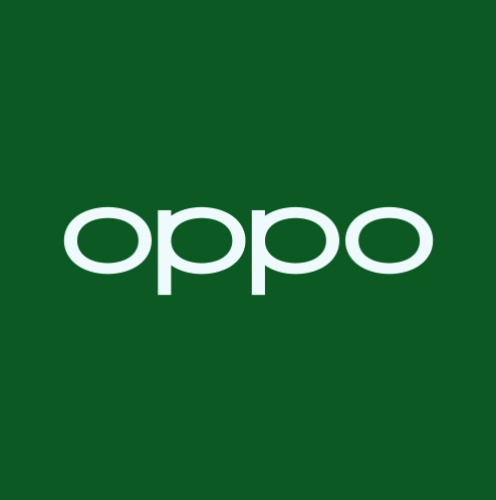 OPPO官方授权体验店(北国电器新百店)
