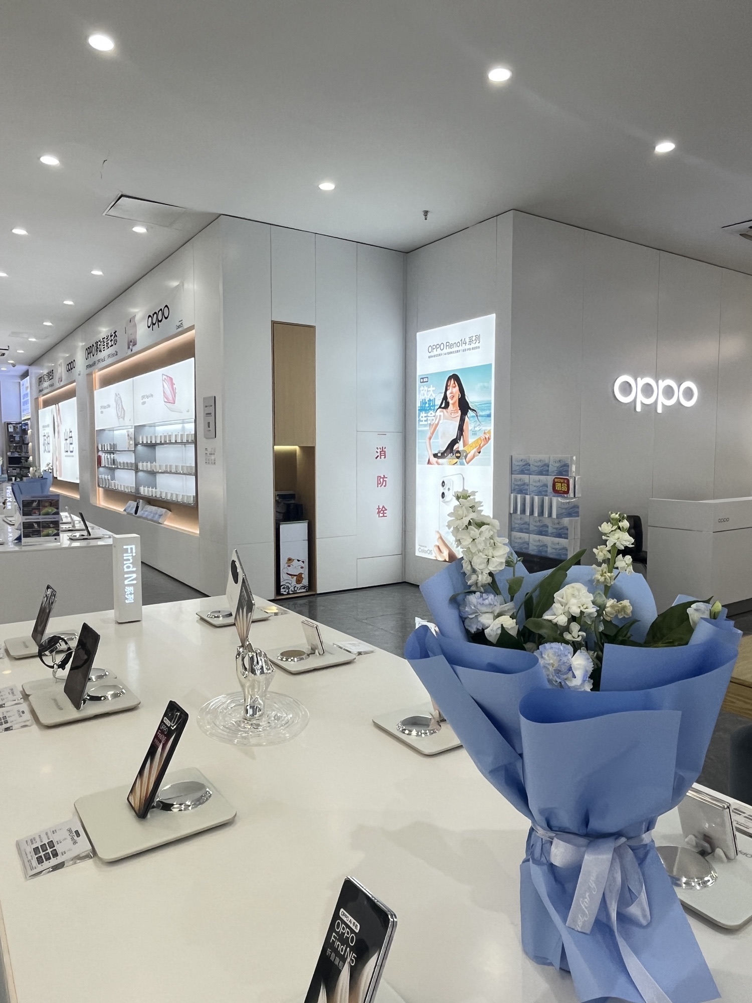 OPPO官方授权体验店(北国电器新百店)