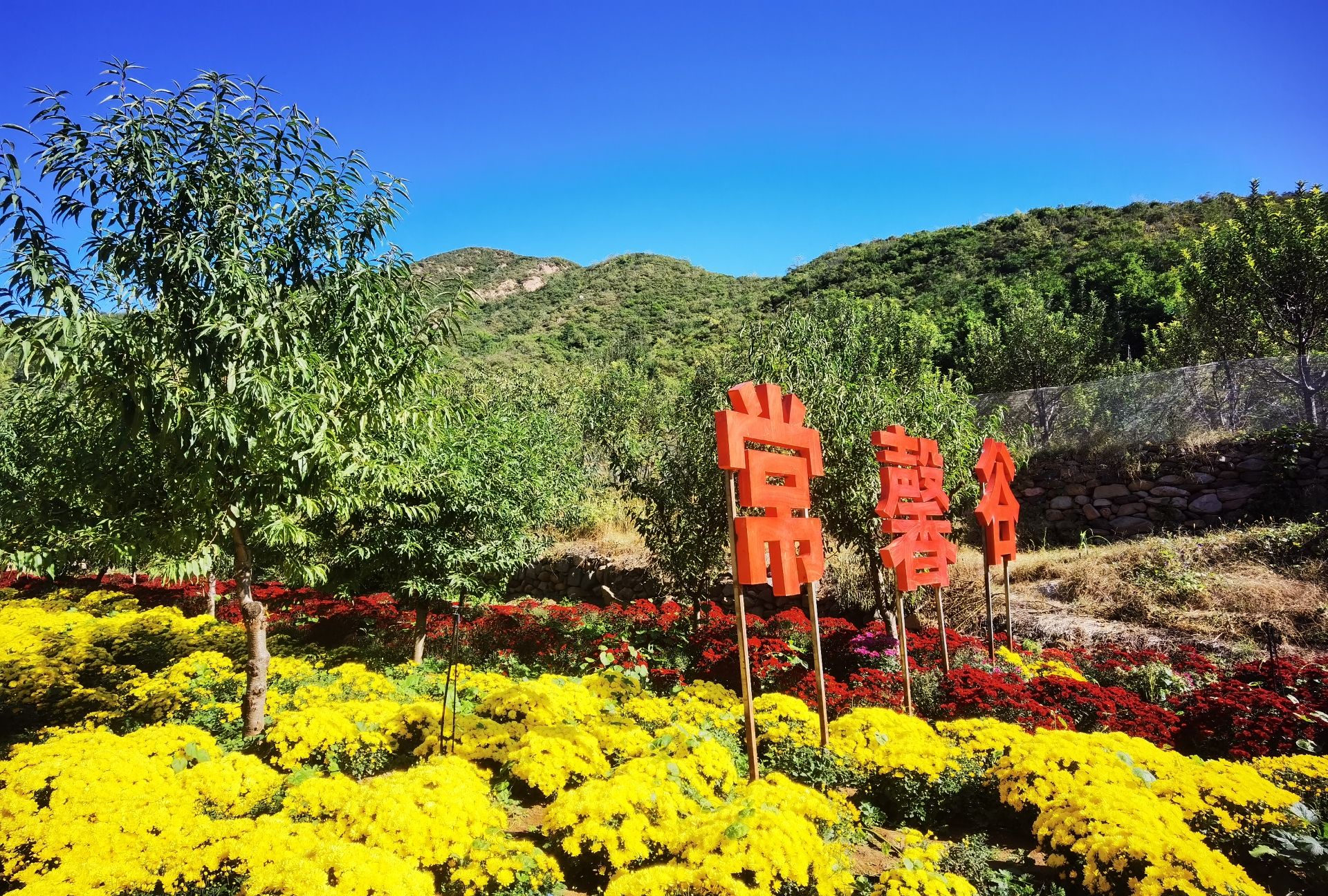 常河·常馨谷(暂停营业)