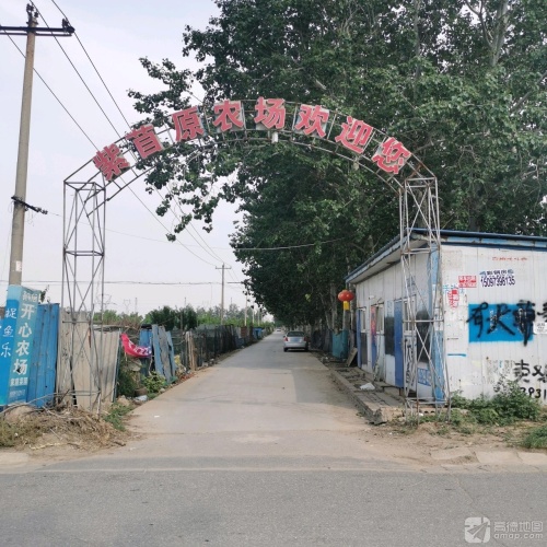 紫苜原农场