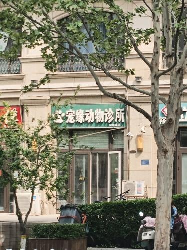 宠缘动物诊所