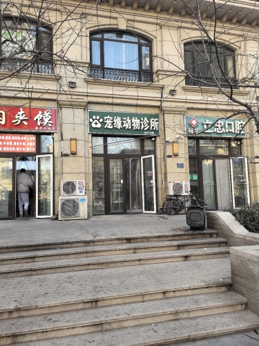 宠缘动物诊所