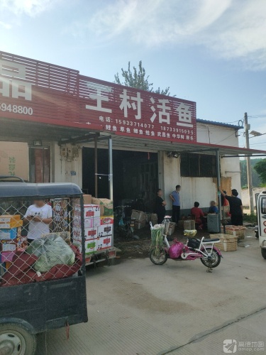 王村活鱼