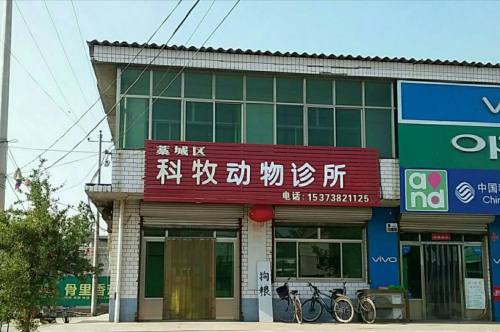 藁城区科牧动物诊所