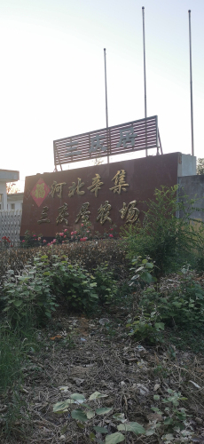 河北辛集市三庆居农场